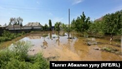 Жалал-Абад облусу, Сузак району