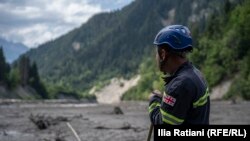 გარემოს ეროვნულმა სააგენტომ შოვსა და ნერგეეთზე დასკვნები მოამზადა