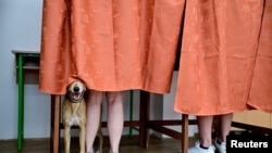 Europene și locale: ce alegeri fac oamenii din România, Ungaria și Bulgaria