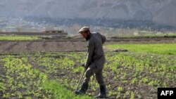 عکس از ارشیف