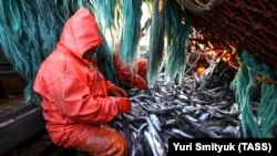 Моҳигире дар минтақаи Приморйе 