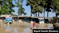 باران های شدید و سرازیر شدن سیلاب ها در هفته های اخیر درافغانستان تلفات و خسارات فراوان در پی داشته است 