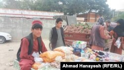 بسیاری از جوانانی که در گذشته درس خوانده و امیدی برای فردا داشتند حالا در شهر چاریکار و یا سایر مناطق ولایت پروان پیشه های آزاد را اختیار کرده اند