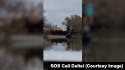 Transport de cai în Delta Dunării la sfârșitul anului 2022