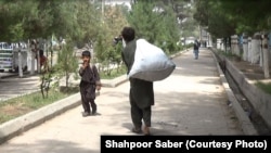 یک کودک کارگر در ولایت هرات