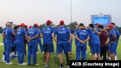 بازیکنان تیم ملی کریکت افغانستان 