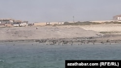 Туркменистан. Туркменские граждане обеспокоены снижением уровня воды в Каспийском море.