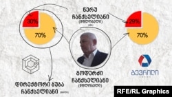 გოდერძი ჩანქსელიანისა და მისი ოჯახის წევრების წილები კომპანიებში