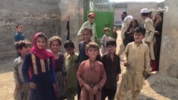 کراچۍ مېشتي اسناد لرونکي افغانان وايي پولیس یې ځوروي