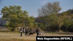 მოქალაქეები იპოდრომზე ძაღლს ასეირნებენ.