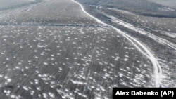 Бахмут янында атышулар нәтиҗәсендә тишкәләнеп беткән җирләр, 22 ноябрь 2023 ел