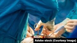 Иллюстративное фото