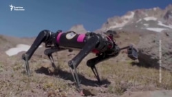 Айдын бетиндеги төрт буттуу робот