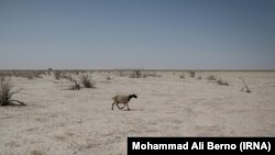 سازمان ملل متحد: پیش‌بینی می‌شود که تا سال ۲۰۲۵، سه چهارم جمعیت جهان تحت تأثیر خشکسالی قرار گیرند.