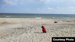 Собаки Юлії Мельникової на Дніпровському лимані