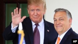 Дональд Трамп і Віктор Орбан