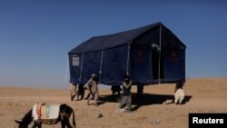 حکومت طالبان: زلزله زدگان هرات به خیمه از هر چیز دیگر بیشتر نیاز دارند