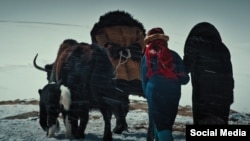 "Жылкычы чымчык" тасмасынан.