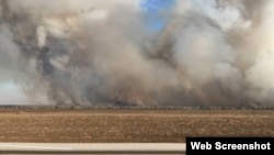 Иллюстративное фото 