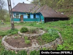 Rondul din fața casei Ralucăi din Valea Zălanului, unde aceasta cultivă mai multe plante medicinale. Pe viitor și-ar dori să dezvolte o mini-grădină botanică.