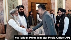 په عکس کې د افغانستان لپاره د چین سفیر ژاو شینګ د طالبانو له ریس الوزرا سره د روغبړ پر مهال. 