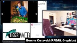 Kancelarije firme „TigerWeb“ i Jevgenij Ševčenko iz 2016. godine. Izvor sajt IT firme, Vkontakte i FaceBook