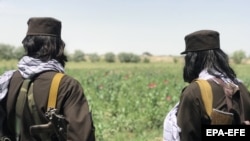 تصویر آرشیف