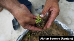 илустрација