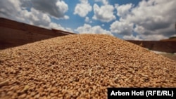 Grurë i sapokorrur, Kosovë korrik 2022.  