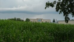 „Iarba elefantului” va încălzi suburbiile Chișinăului