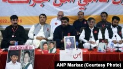 د عوامي نېشنل ګوند صوبايي مشر ايمل ولي خان په يوه غونډه کې وينا کوي- انځور له ارشيفه