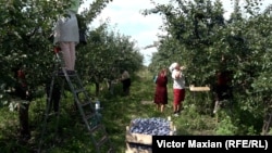 În ansamblu, exporturile către UE au crescut de la 1,8 miliarde de euro în 2021 la 2,6 miliarde de euro în 2022. 