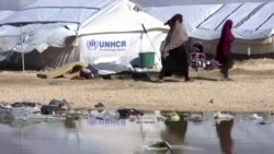 Wives Of Islamic State Militants Return To Tajikistan, But Where Are They?