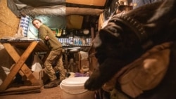 Елена – боевой медик и повар, она присматривала за псом после операции