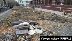 Кыйылган бактардын орду. 