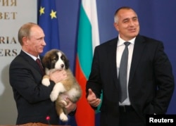 Vladimir Putin și Boiko Borisov în 2010.