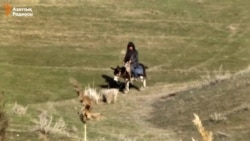 Ақсеңгірдегі жер дауы