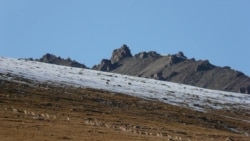 Баткенде миңге жакын мергенчи бар