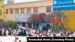 آرشیف - اعتراضات به بسته شدن پوهنتون‌ها به روی دختران در ولایت ننگرهار