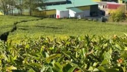 Власти против фермеров