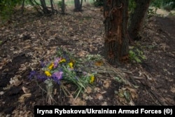 ნაღმის ნამსხვრევებით ატკეჩილი ხის გვერდით დატოვებული, ახლად მოკრეფილი მინდვრის ყვავილები.