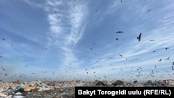 Через брак коштів в окупованих містах півдня постає проблема вивезення сміття (ілюстраційне фото)