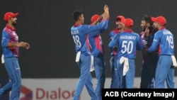 شماری از بازیکنان تیم ملی کریکت افغانستان - عکس از آرشیف