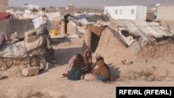 آرشیف - بیجا شده های داخلی در ولایت هرات