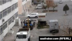 Aşgabadyň jemgyýetçilik işgärleri suw turbalaryny bejerýärler. Aşgabat, 12-nji dekabr, 2022-nji ýyl.