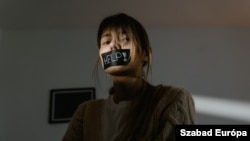 Do sada je ovaj oblik nasilja tretiran kroz šest članova Krivičnog zakonika, a postupci su se vodili po privatnoj tužbi. Prema predloženim izmjenama, on će se goniti po službenoj dužnosti.