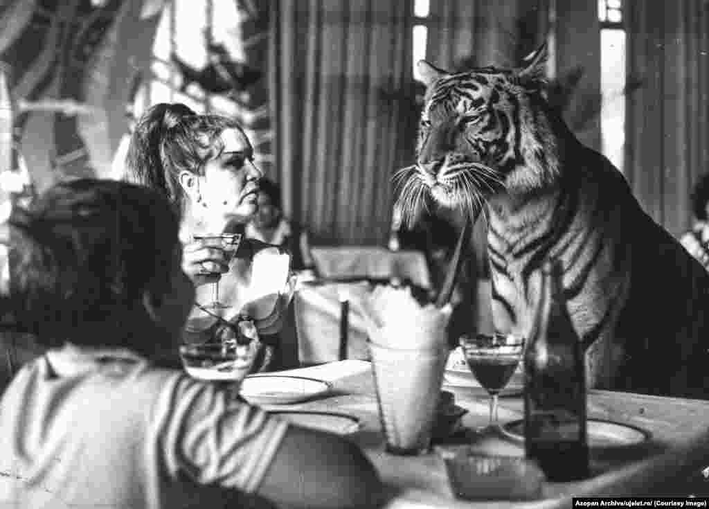 O imagine fără legendă din arhiva Uj Elet. Szocs speră ca această resursă să permită identificarea unui număr cât mai mare de imagini de către utilizatori, care pot contribui cu detalii și explicații. Fotografiile pot fi, de asemenea, &bdquo;legate&rdquo; de numărul revistei în care au apărut.