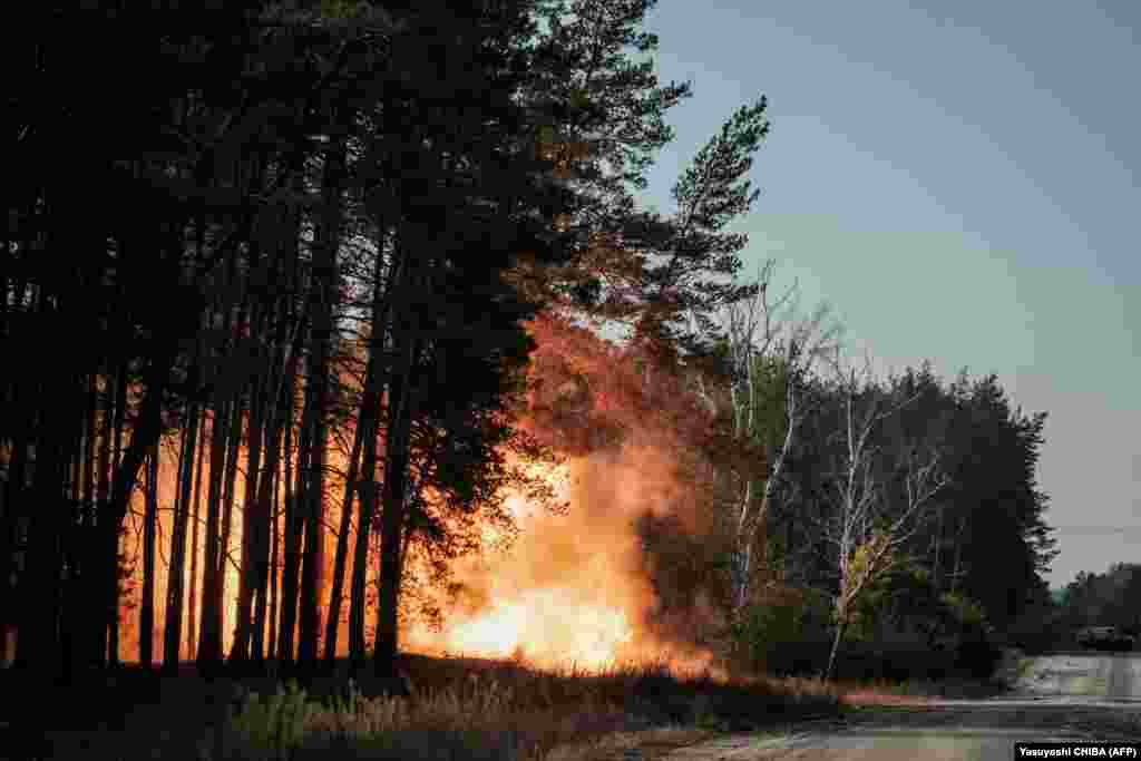 Повномасштабне вторгнення РФ до України спричинило забруднення мінами та вибухонебезпечними предметами майже половини української території, повідомили у Держслужбі з надзвичайних ситуацій. Раніше Офіс ООН з координації гуманітарних питань в Україні повідомив, що Україна нині є однією з найбільш замінованих країн світу