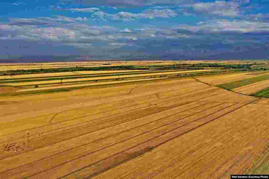 Чүй өрөөнү.