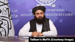 د طالبانو د حکومت د بهرنیو چارو سرپرست وزیر امیرخان متقي